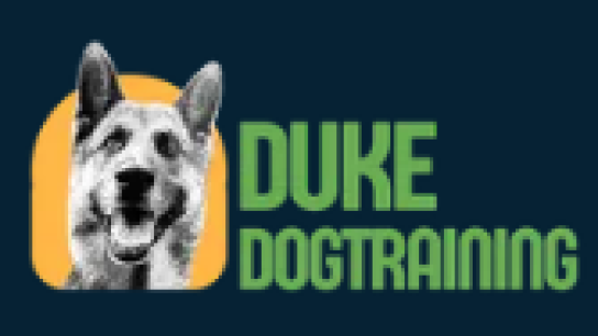 Duke Dogtraining